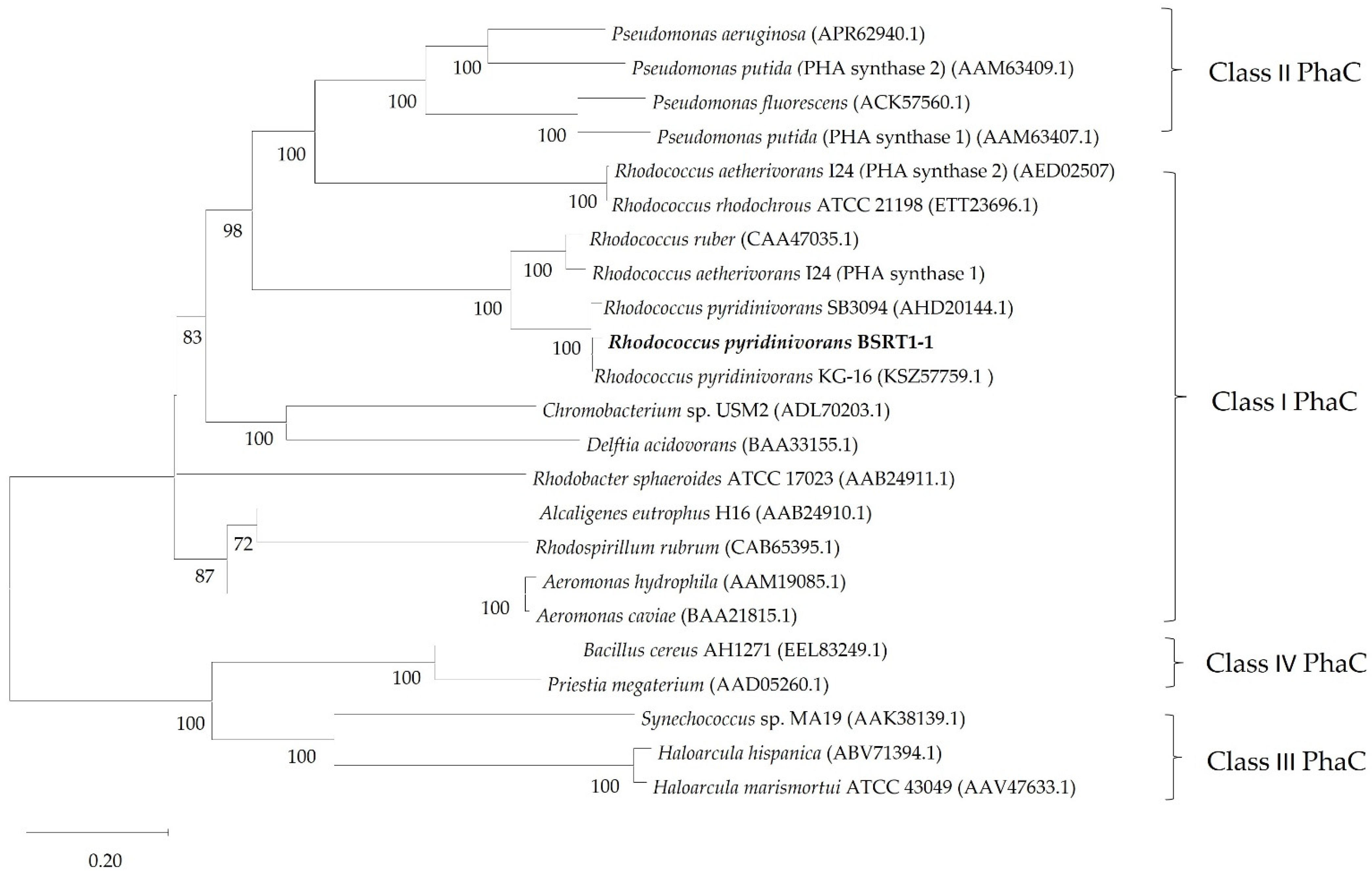 Polymers 14 04074 g001 Polymers 14 04074 g001