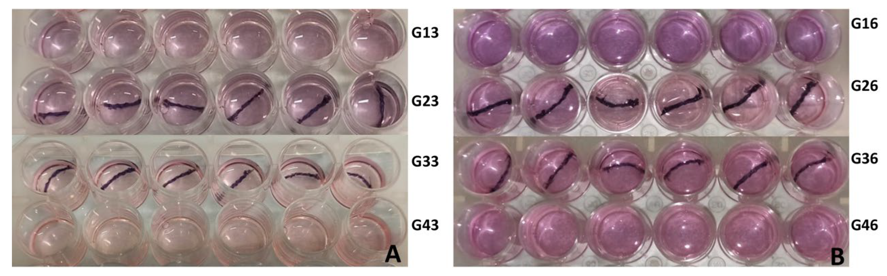Polymers 14 04081 g001
