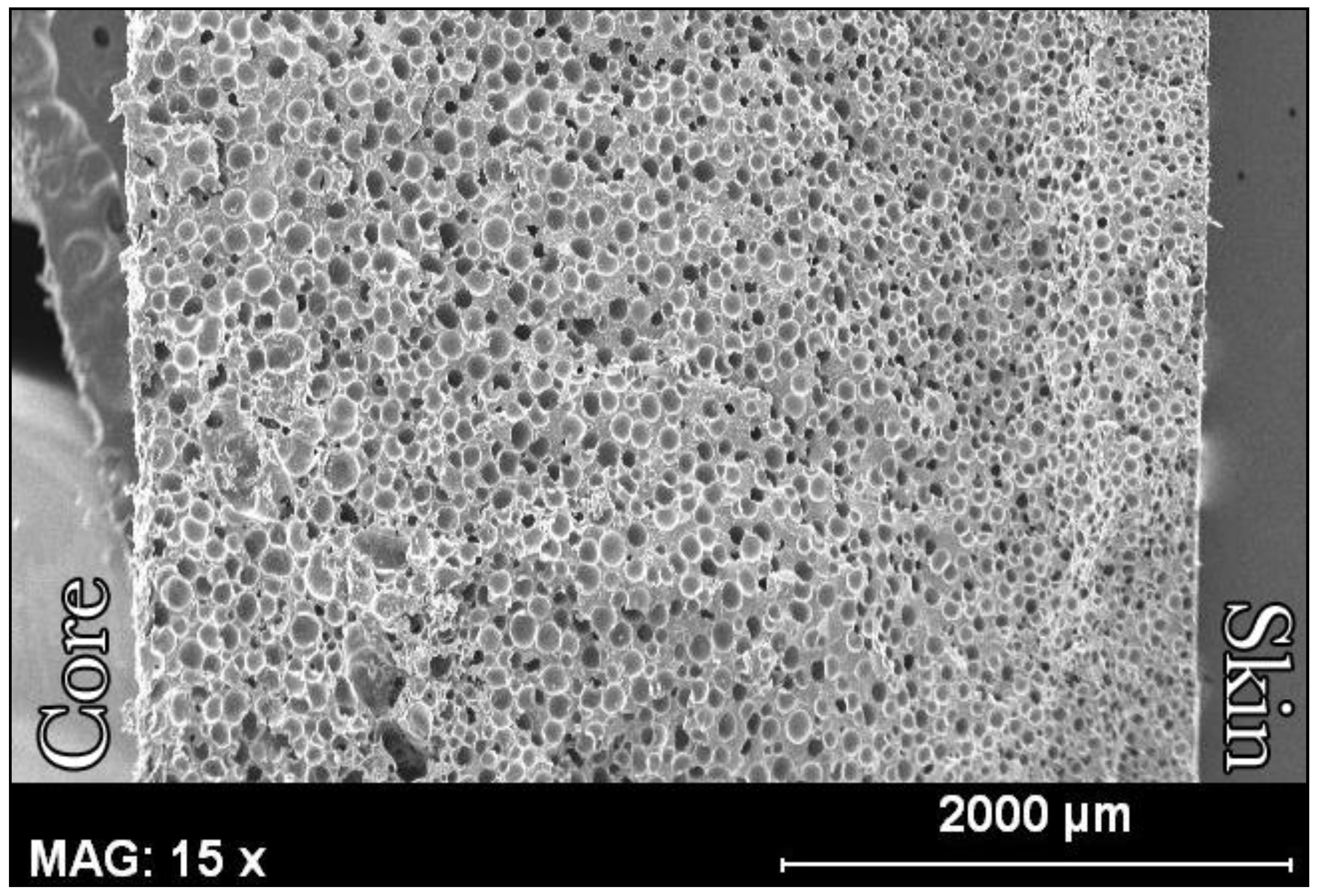 Polymers 14 04082 g007