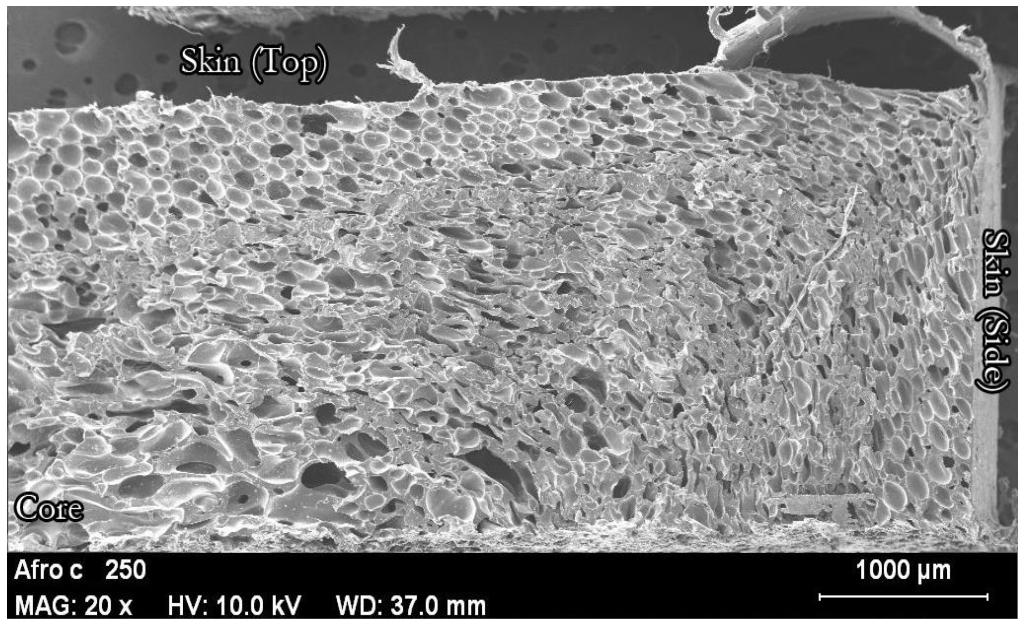 Polymers 14 04082 g013