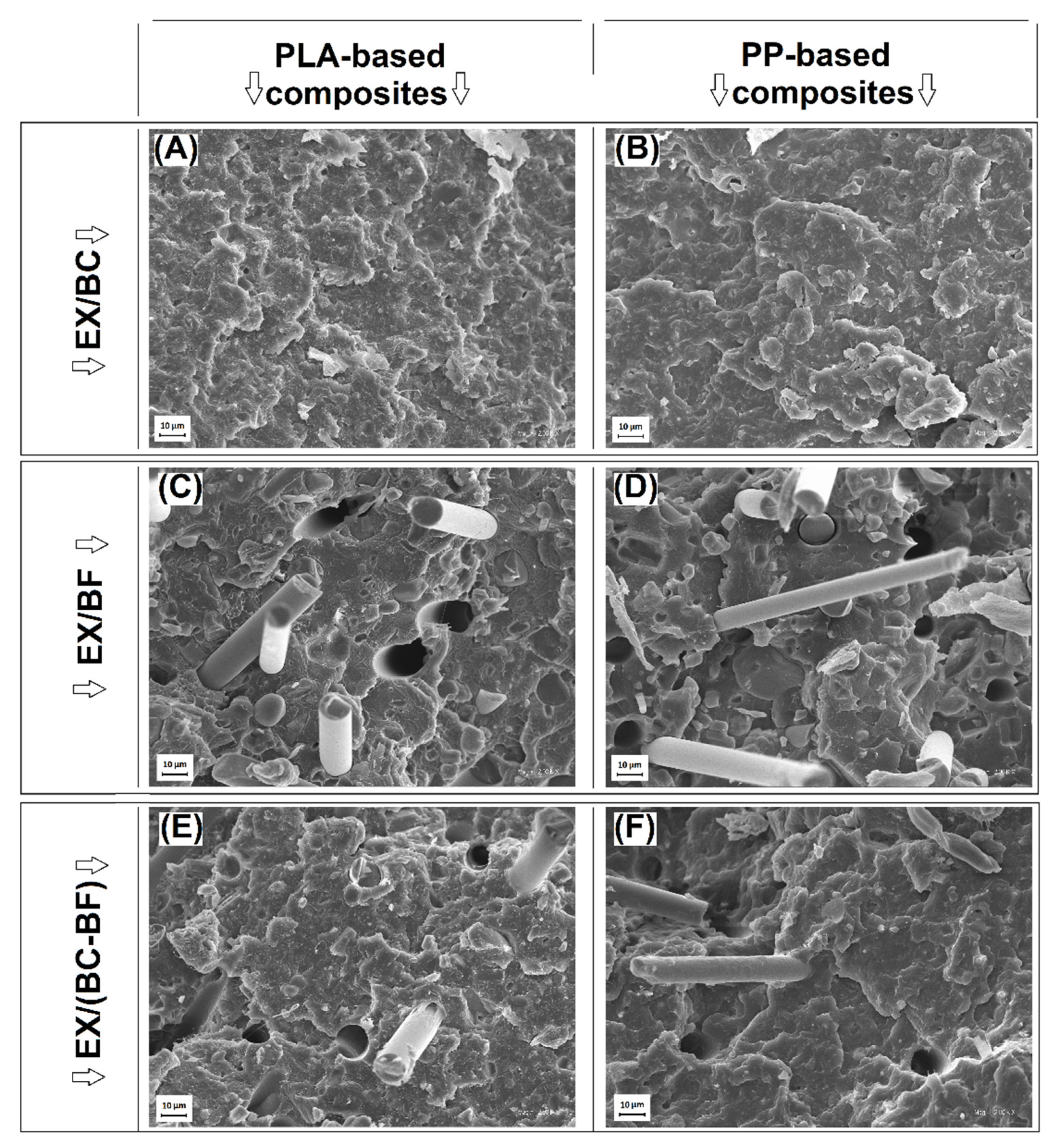 Polymers 14 04086 g002 Polymers 14 04086 g002