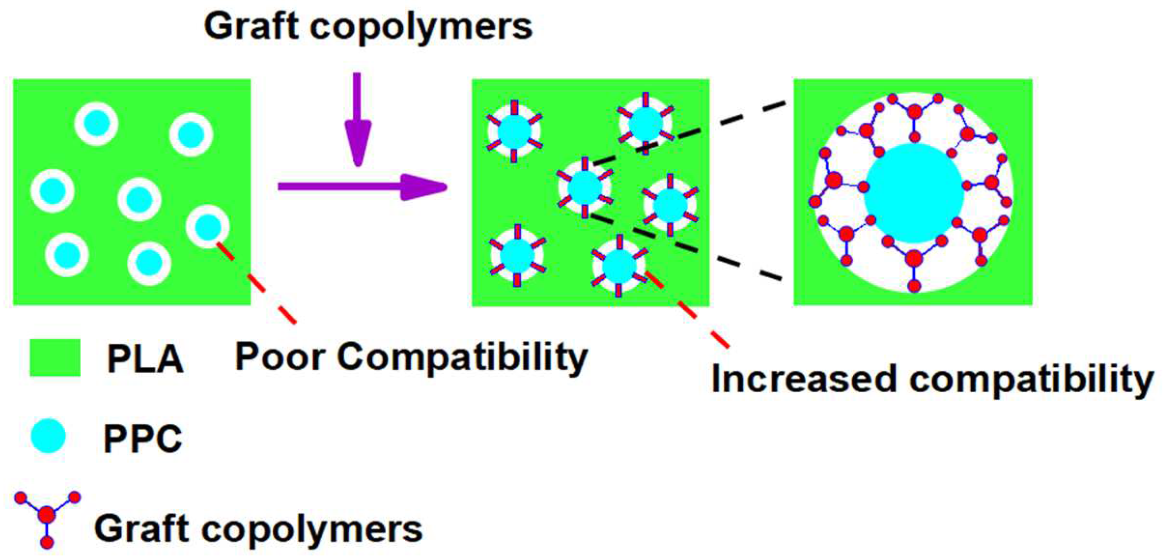 Polymers 14 04088 g005 Polymers 14 04088 g005