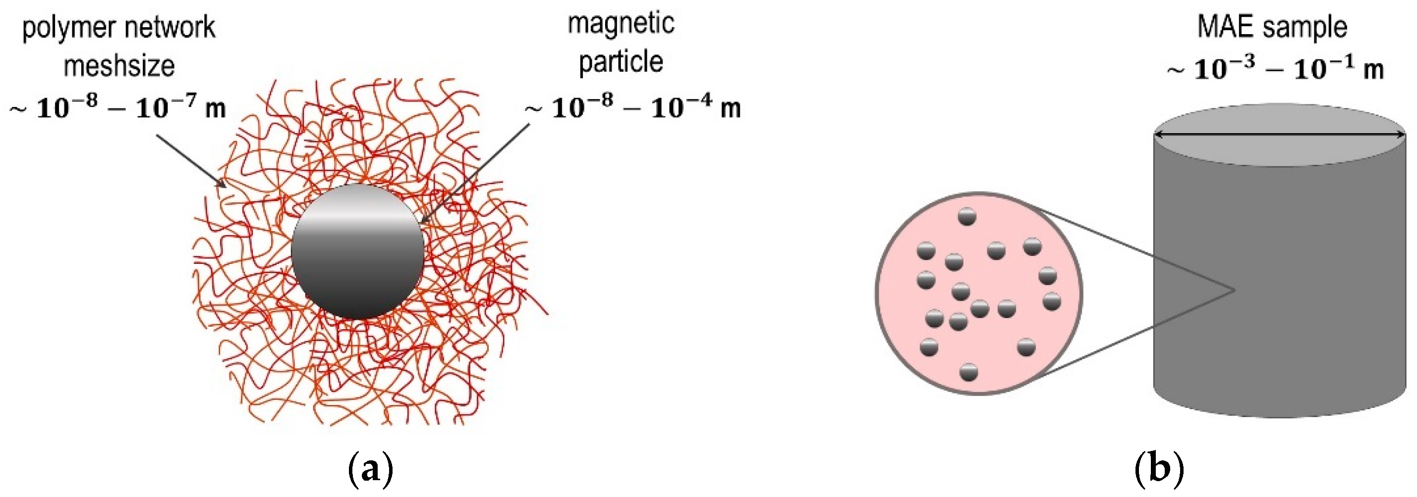 Polymers 14 04096 g002