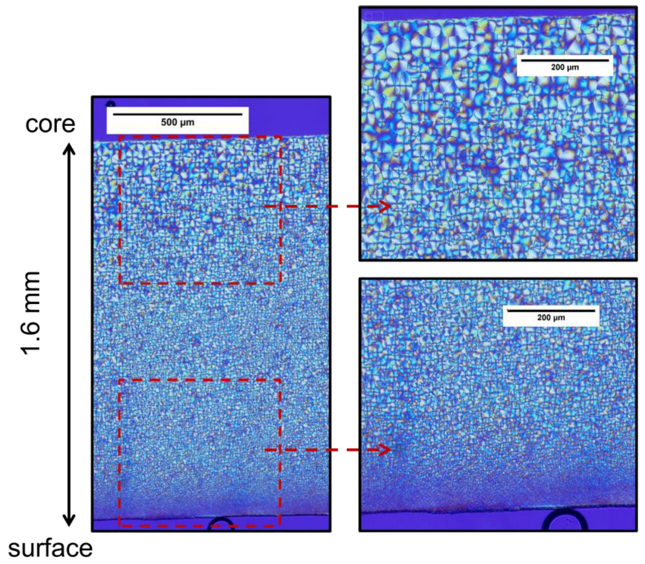 Polymers 14 04097 g005