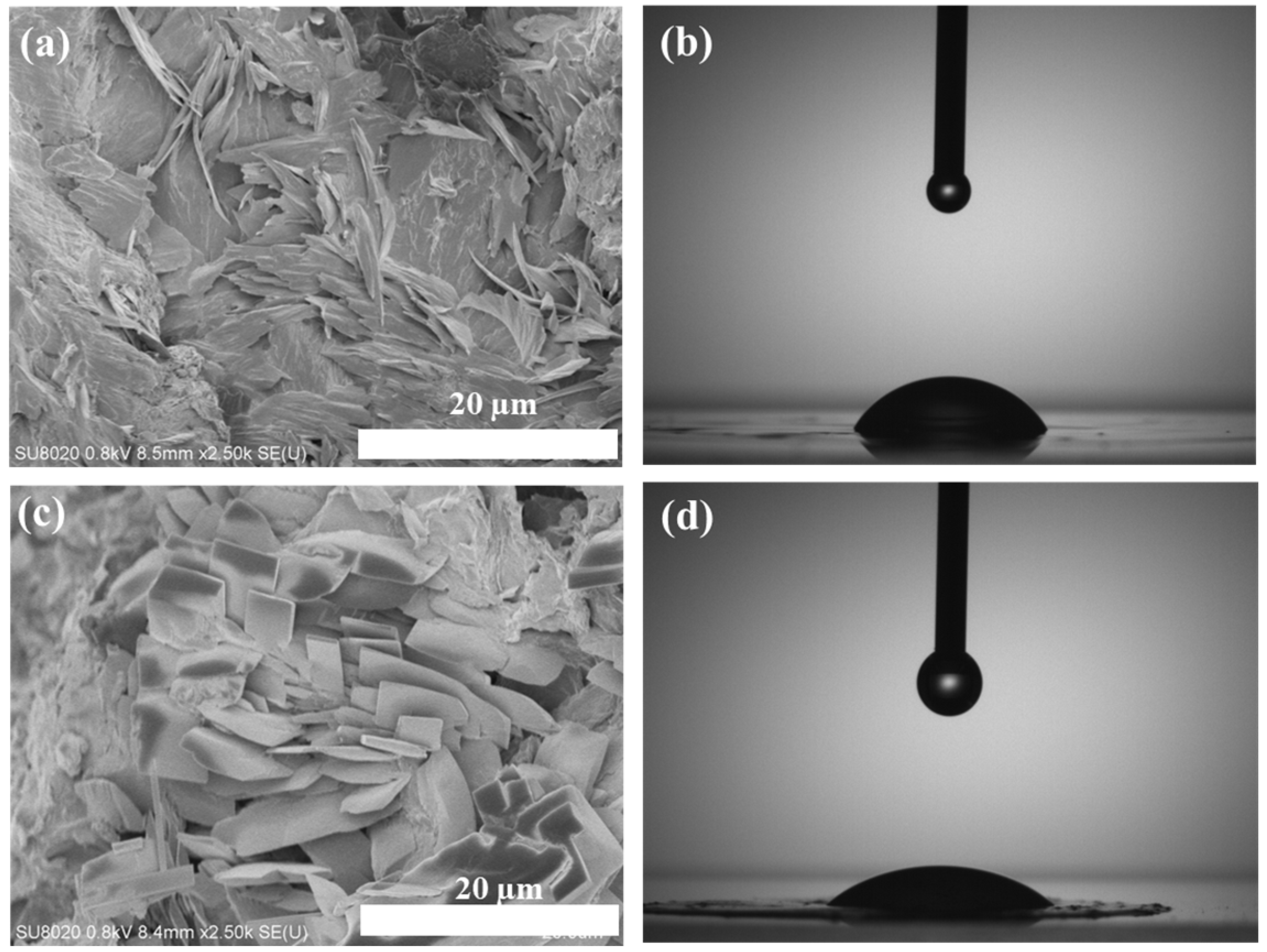 Polymers 14 04100 g004