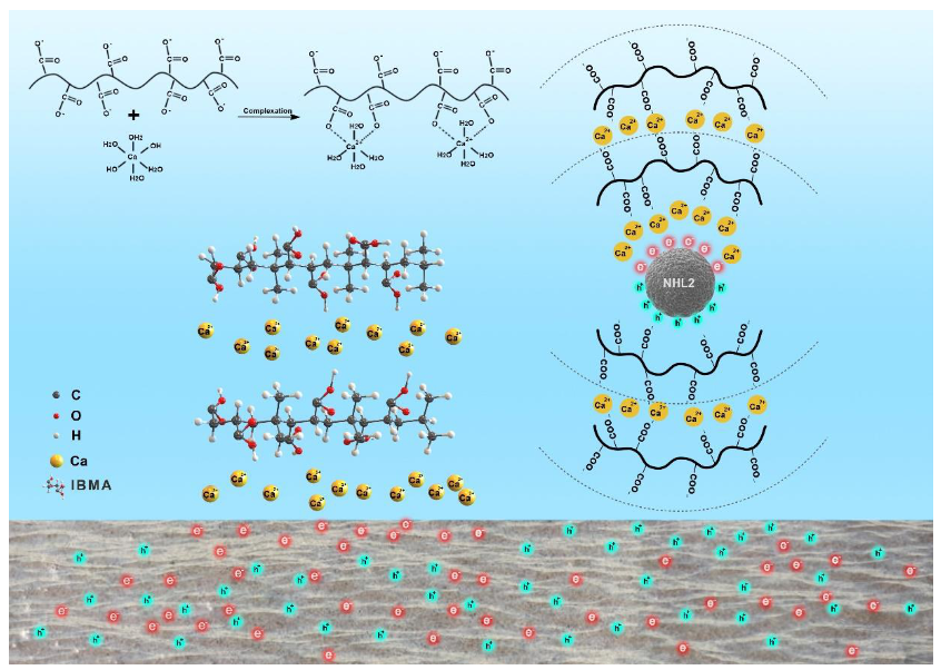 Polymers 14 04104 g004 550