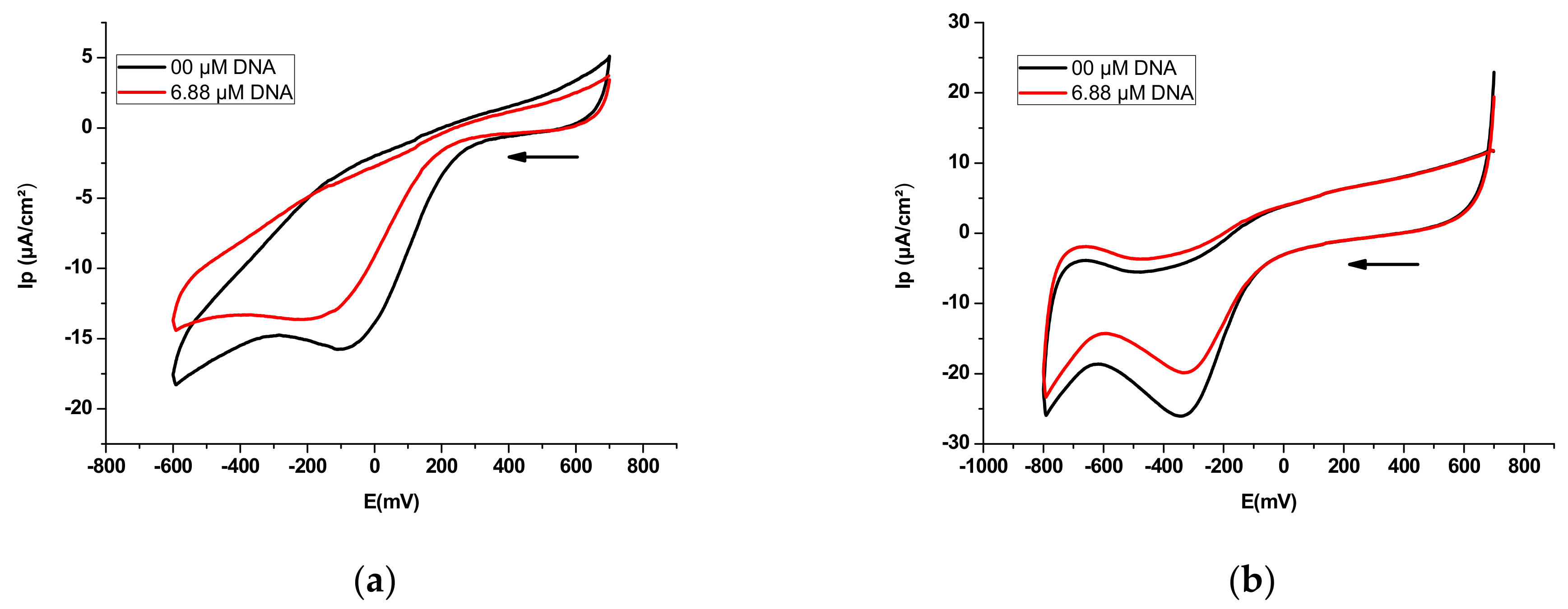 Polymers 14 04106 g006