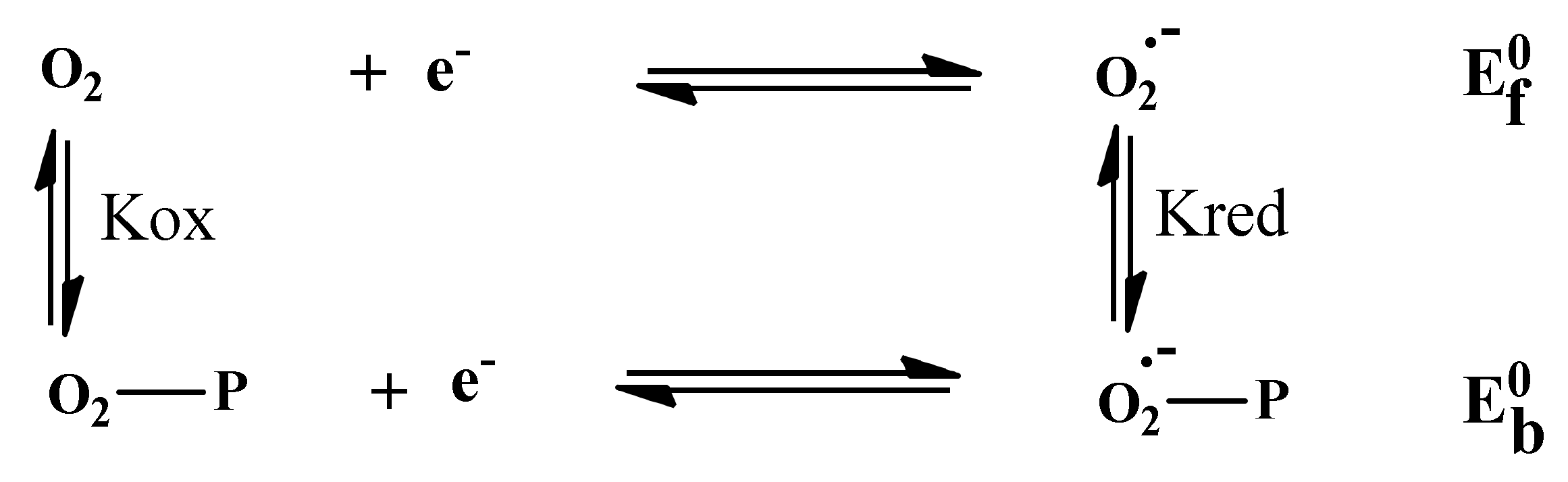 Polymers 14 04106 g014