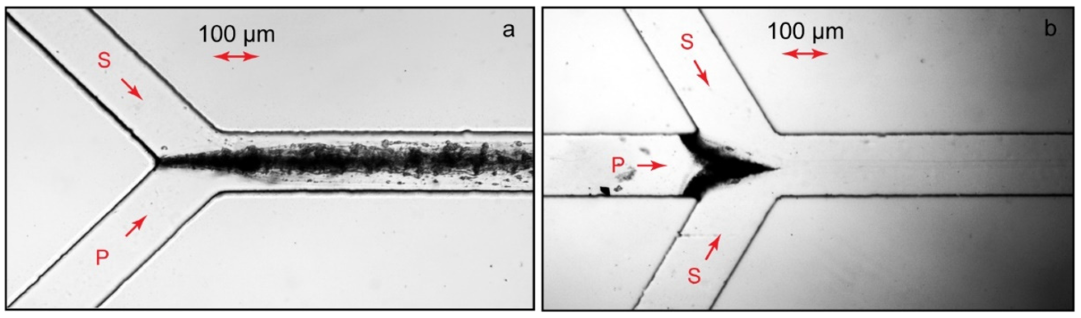 Polymers 14 04109 g002