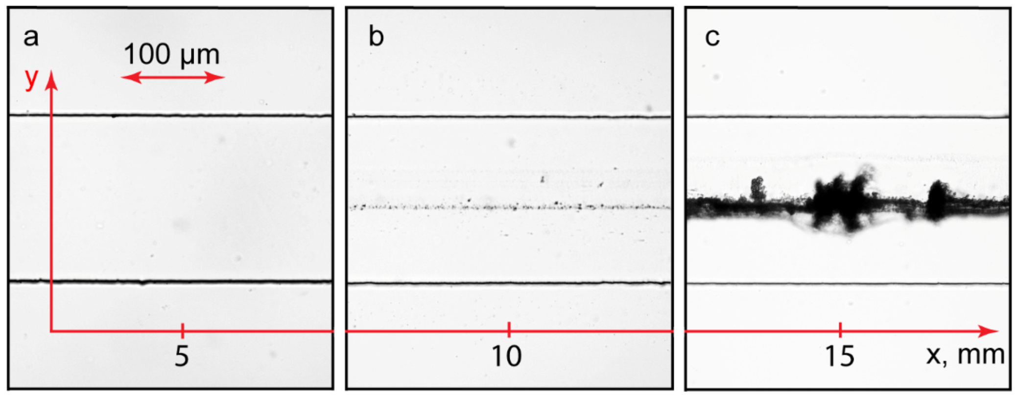 Polymers 14 04109 g007