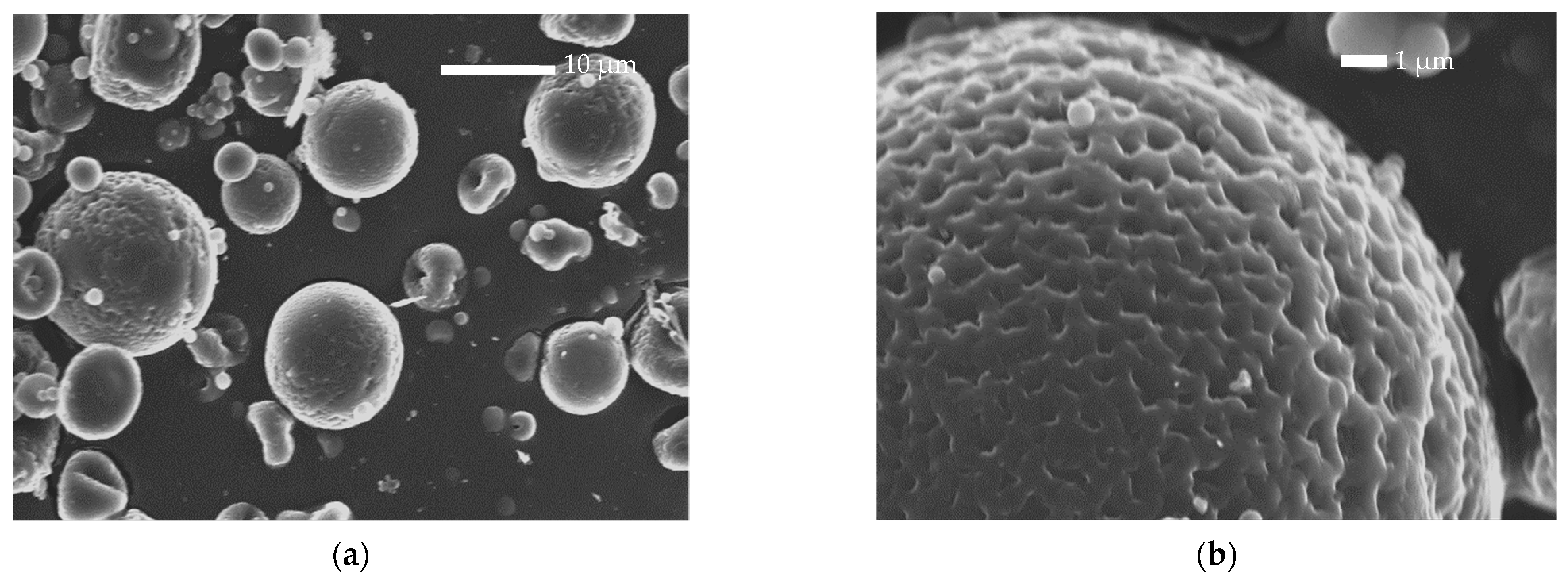 Polymers 14 04111 g004a Polymers 14 04111 g004a