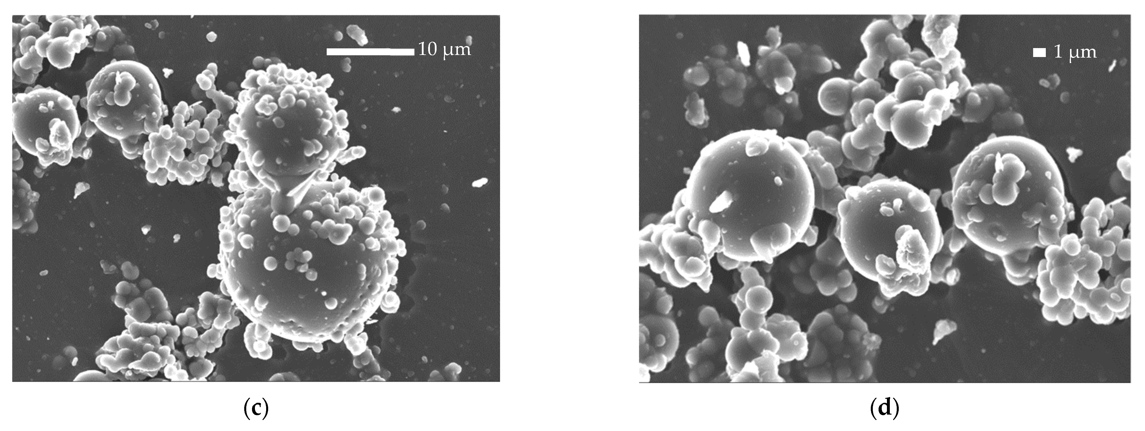 Polymers 14 04111 g004b Polymers 14 04111 g004b