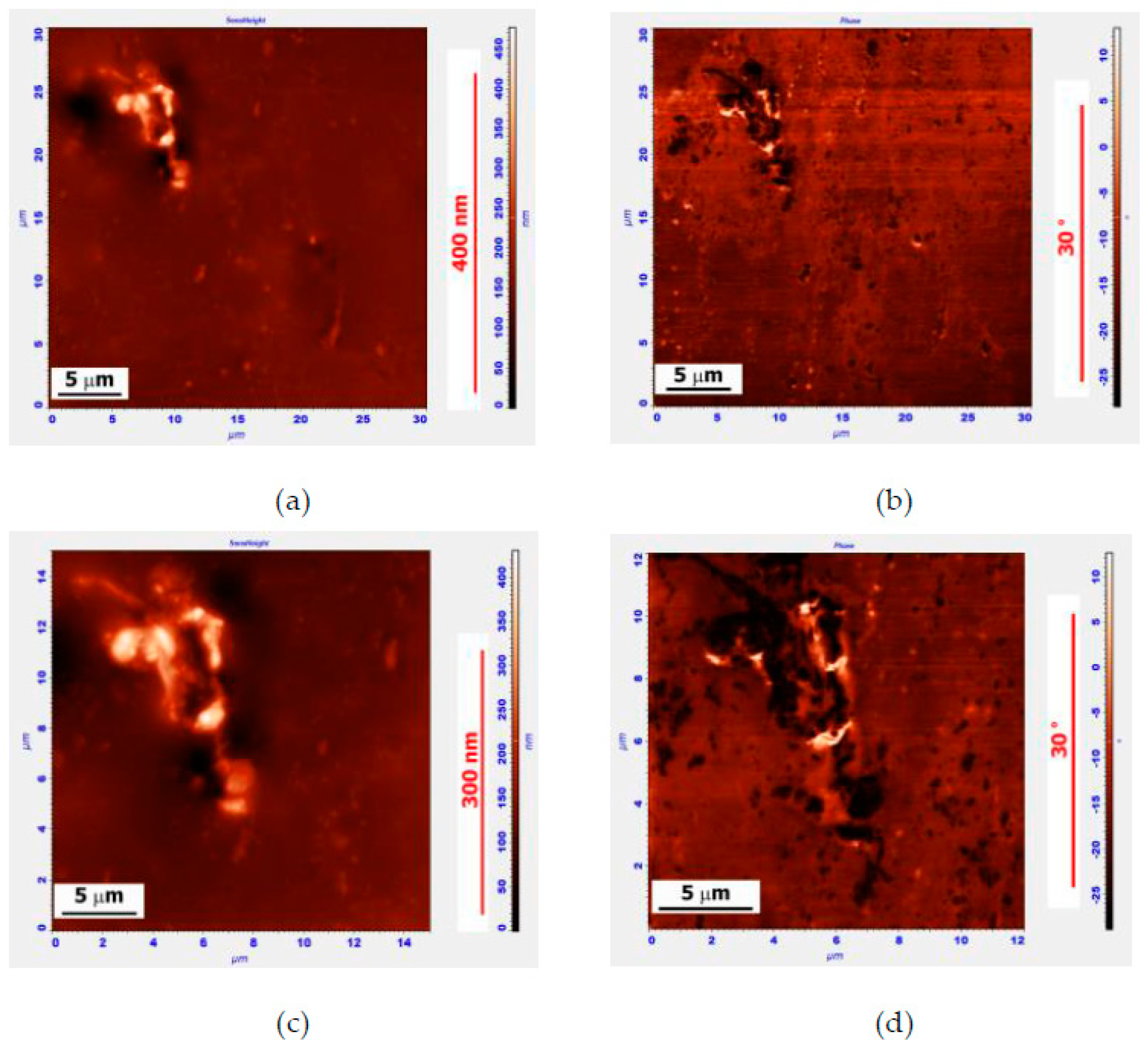 Polymers 14 04112 g002 Polymers 14 04112 g002
