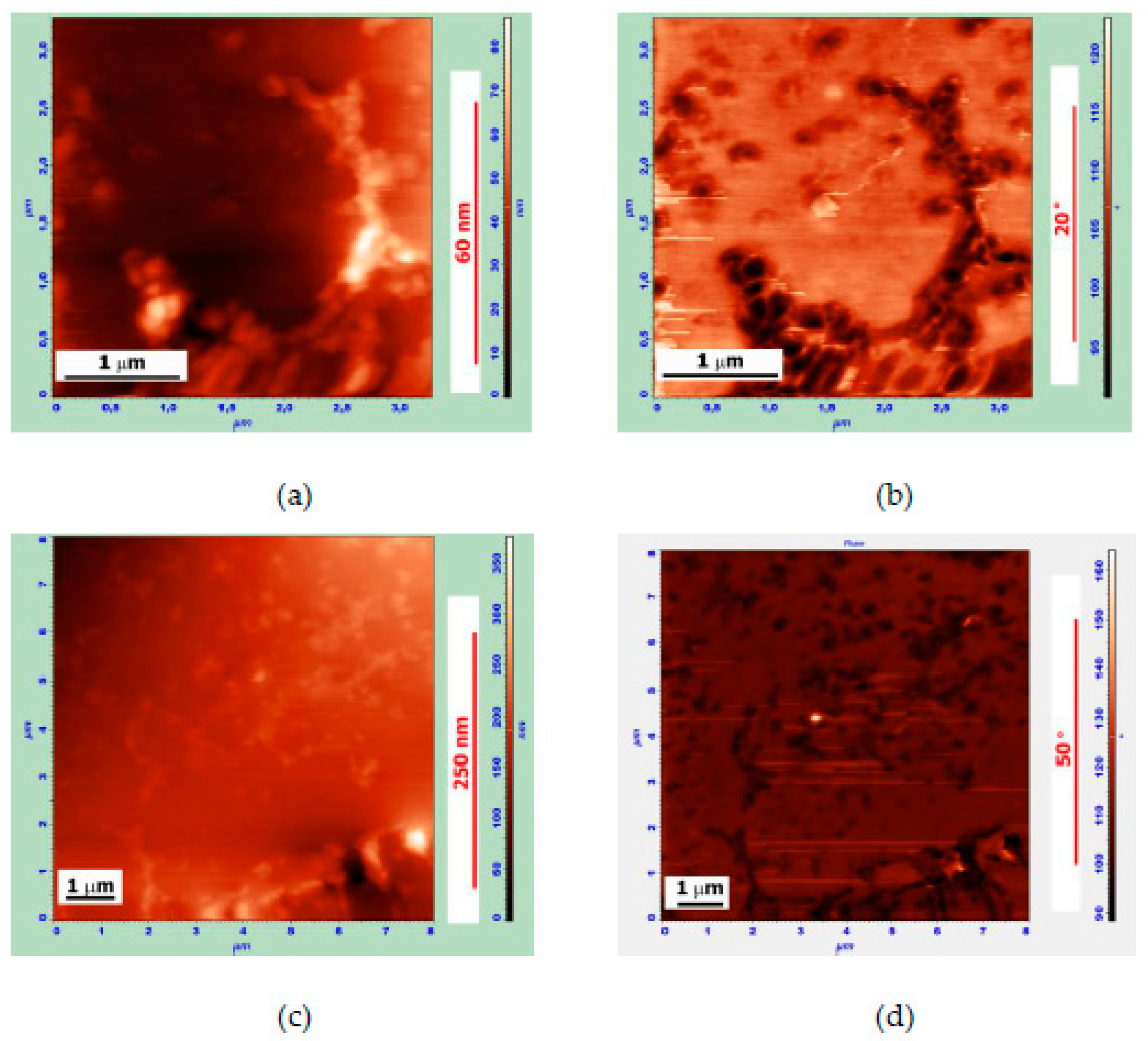 Polymers 14 04112 g004 Polymers 14 04112 g004