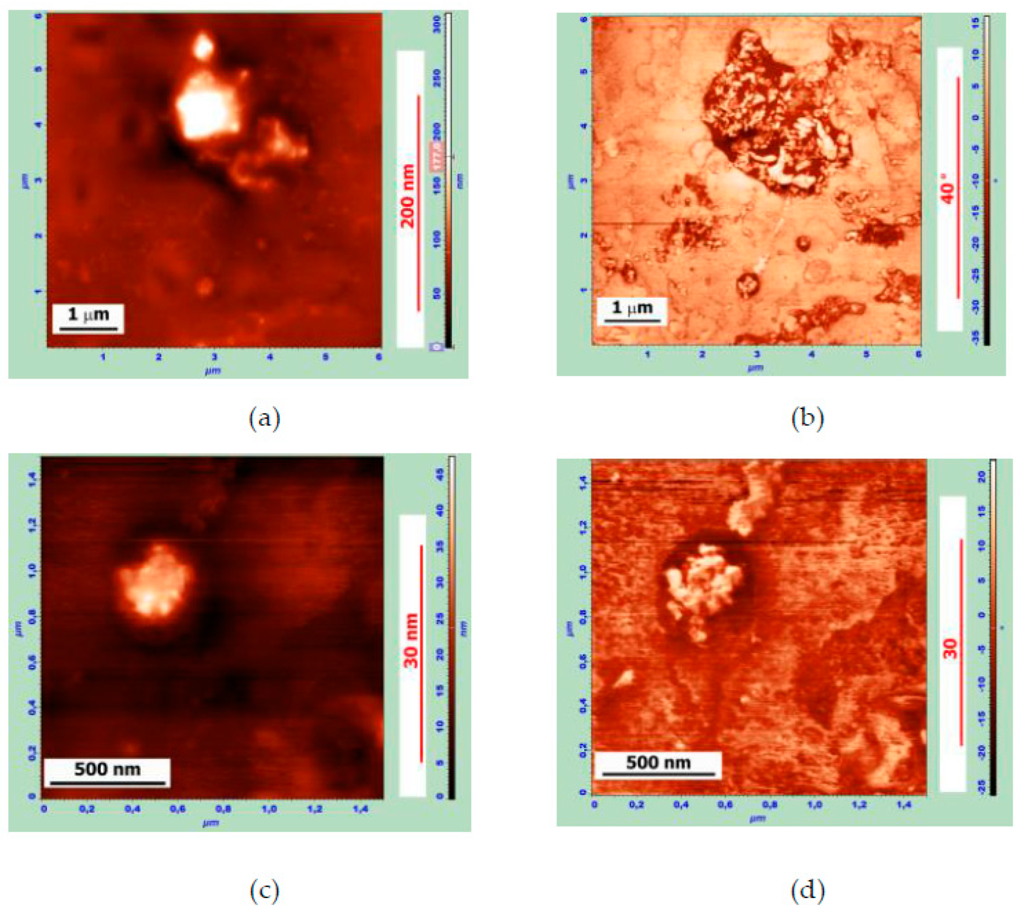 Polymers 14 04112 g005 Polymers 14 04112 g005
