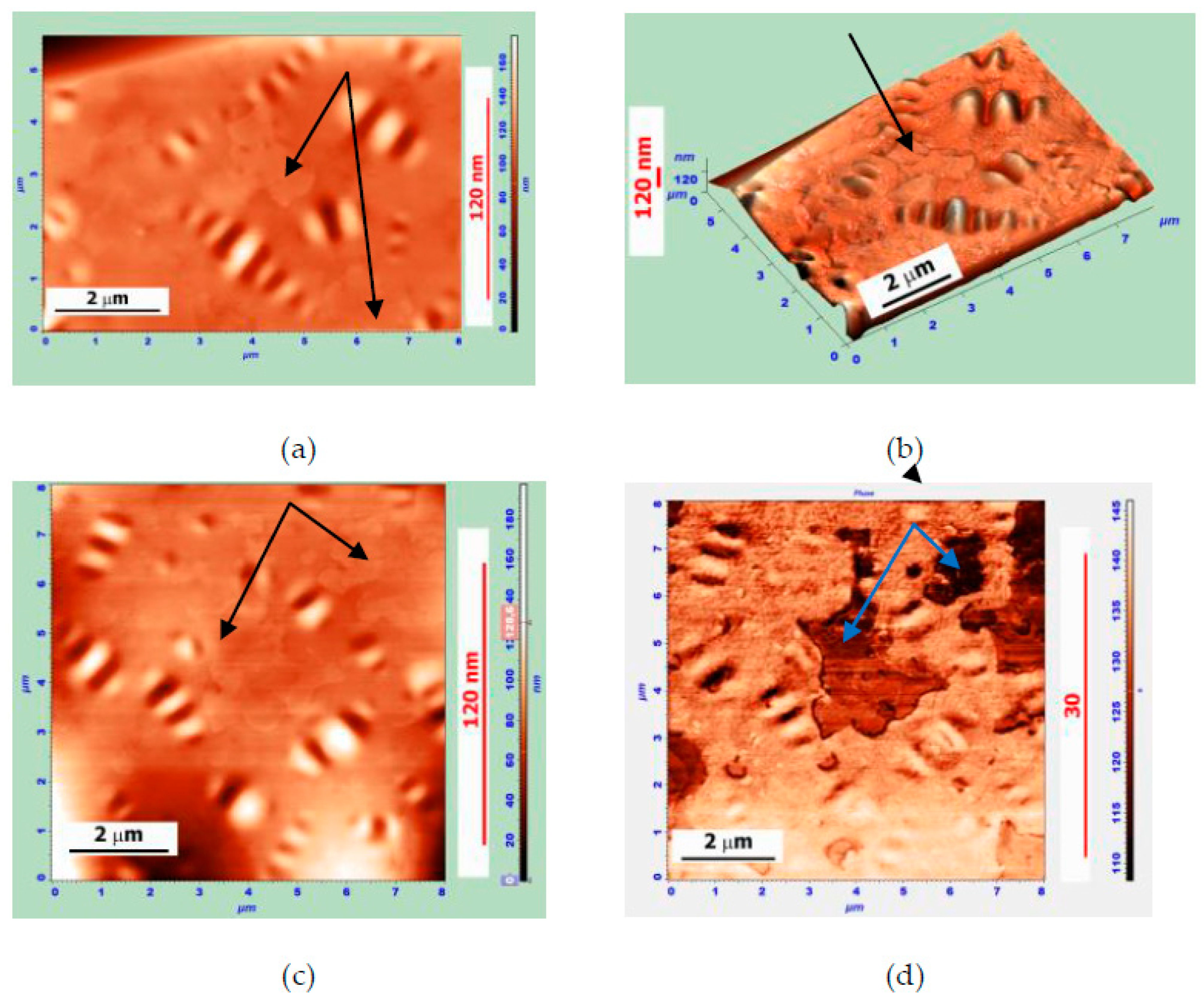 Polymers 14 04112 g006 Polymers 14 04112 g006