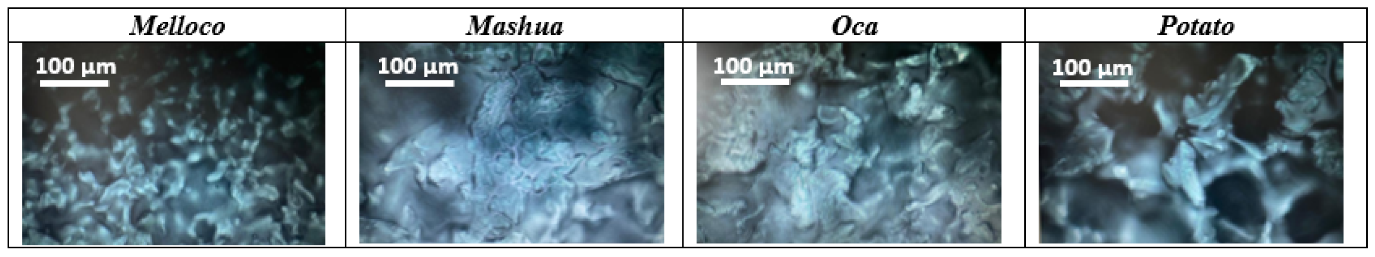 Polymers 14 04116 g002