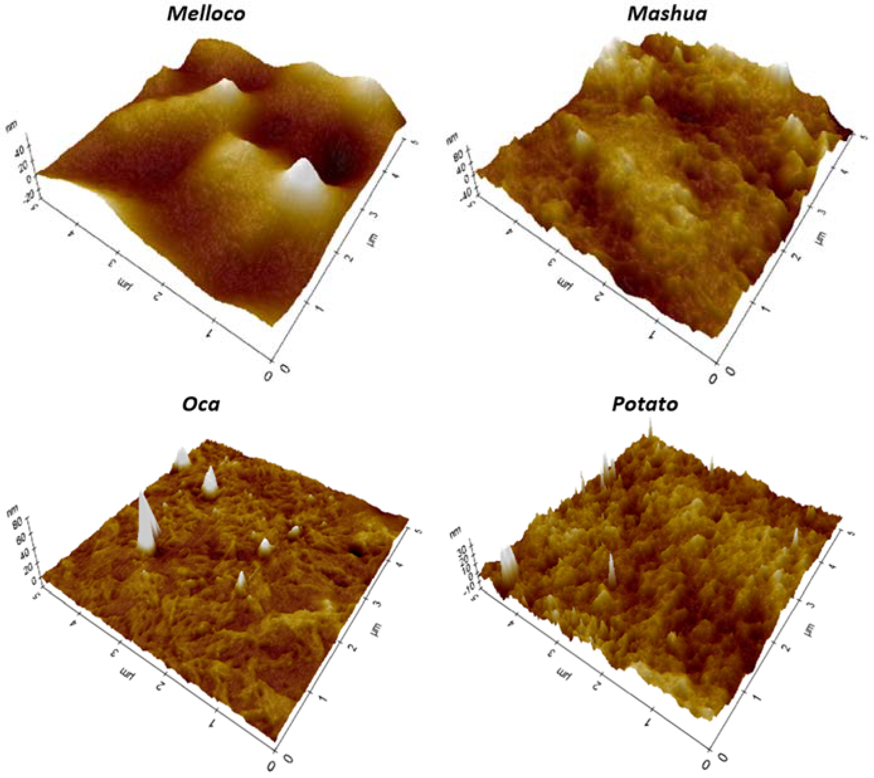 Polymers 14 04116 g006