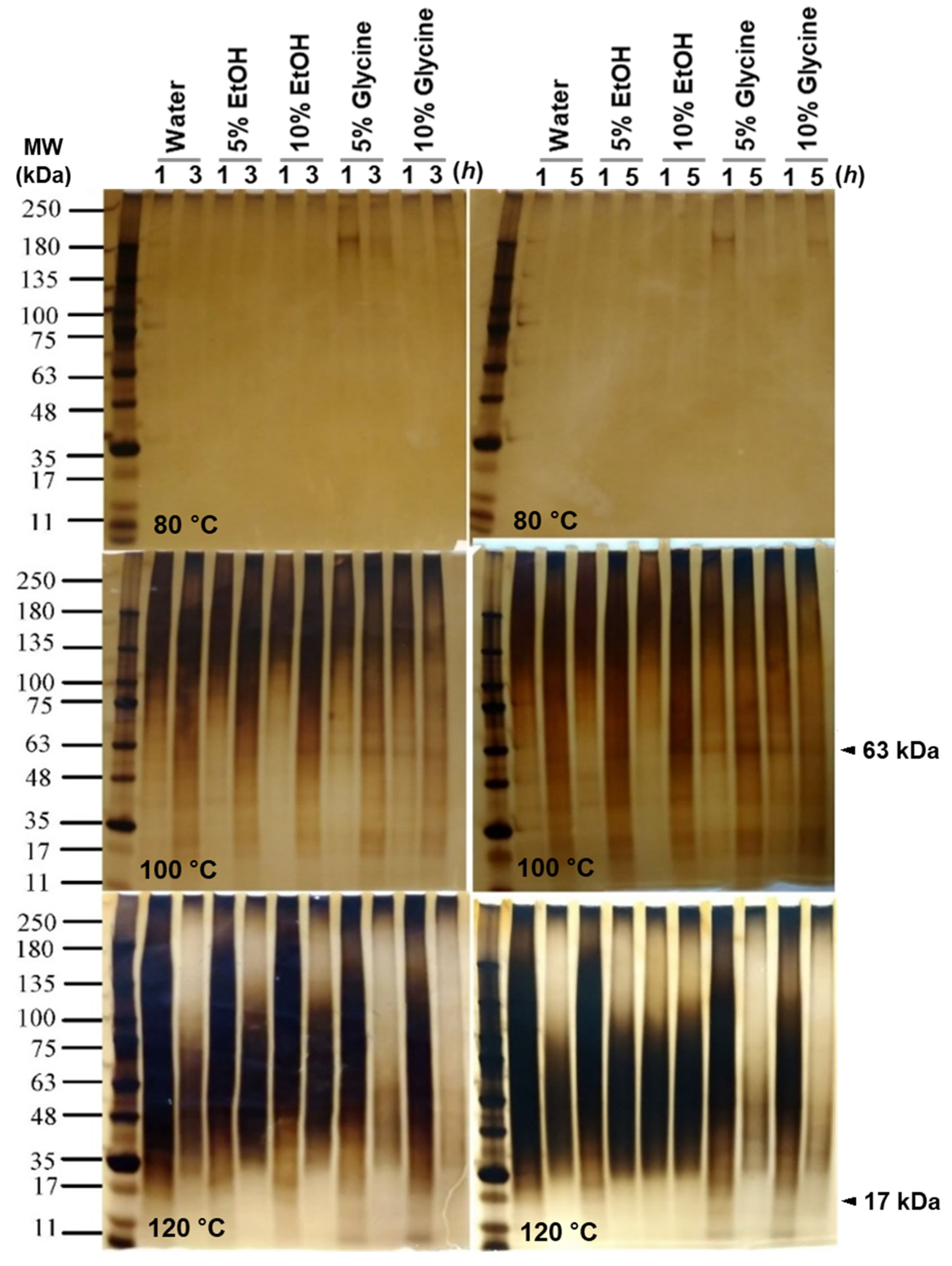 Polymers 14 04118 g002 Polymers 14 04118 g002