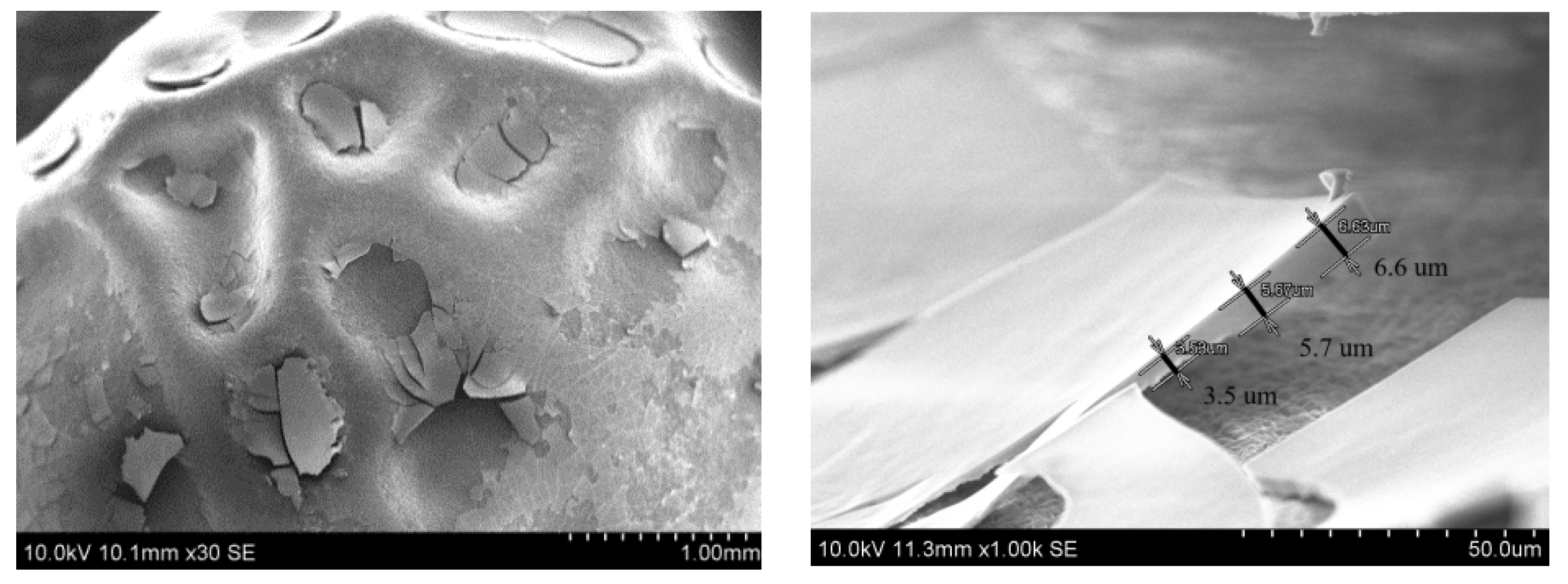 Polymers 14 04119 g002a Polymers 14 04119 g002a