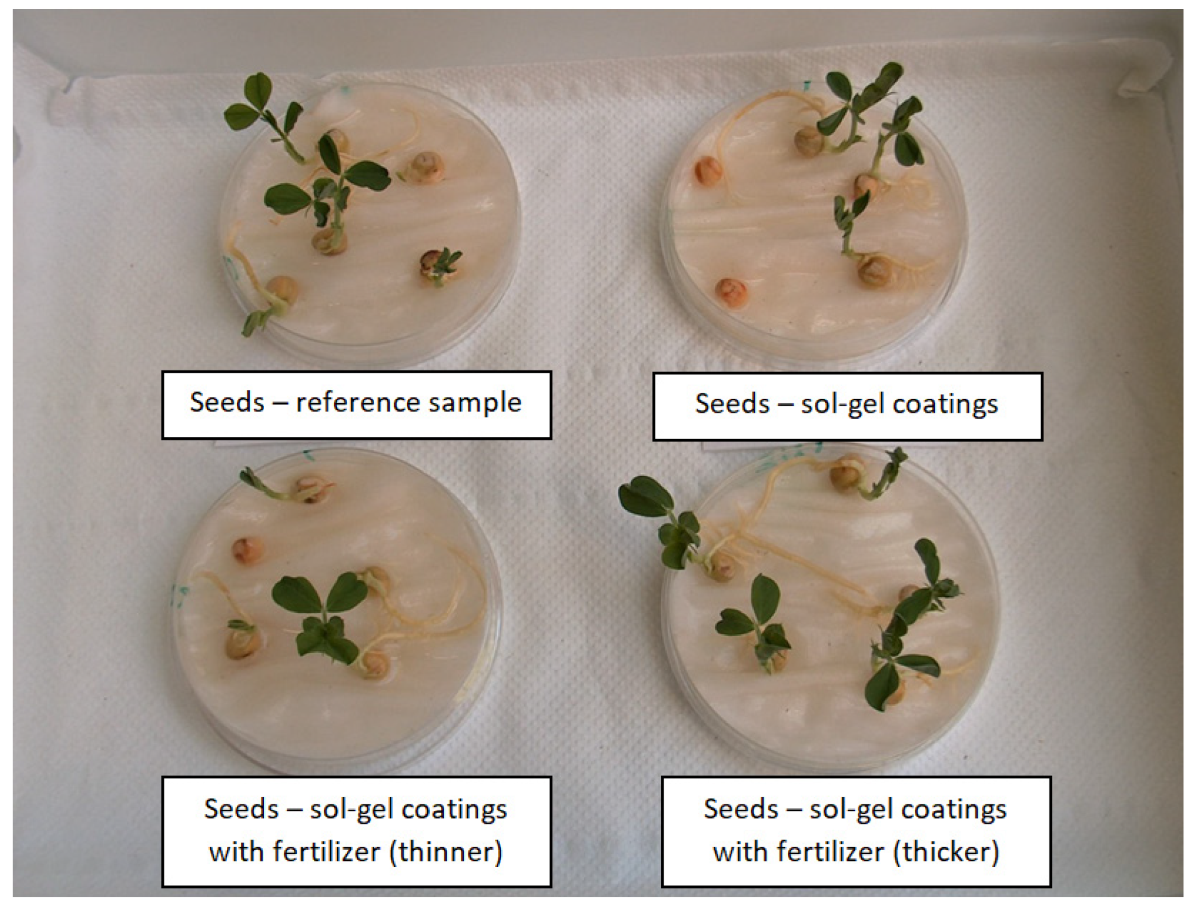 Polymers 14 04119 g005 Polymers 14 04119 g005