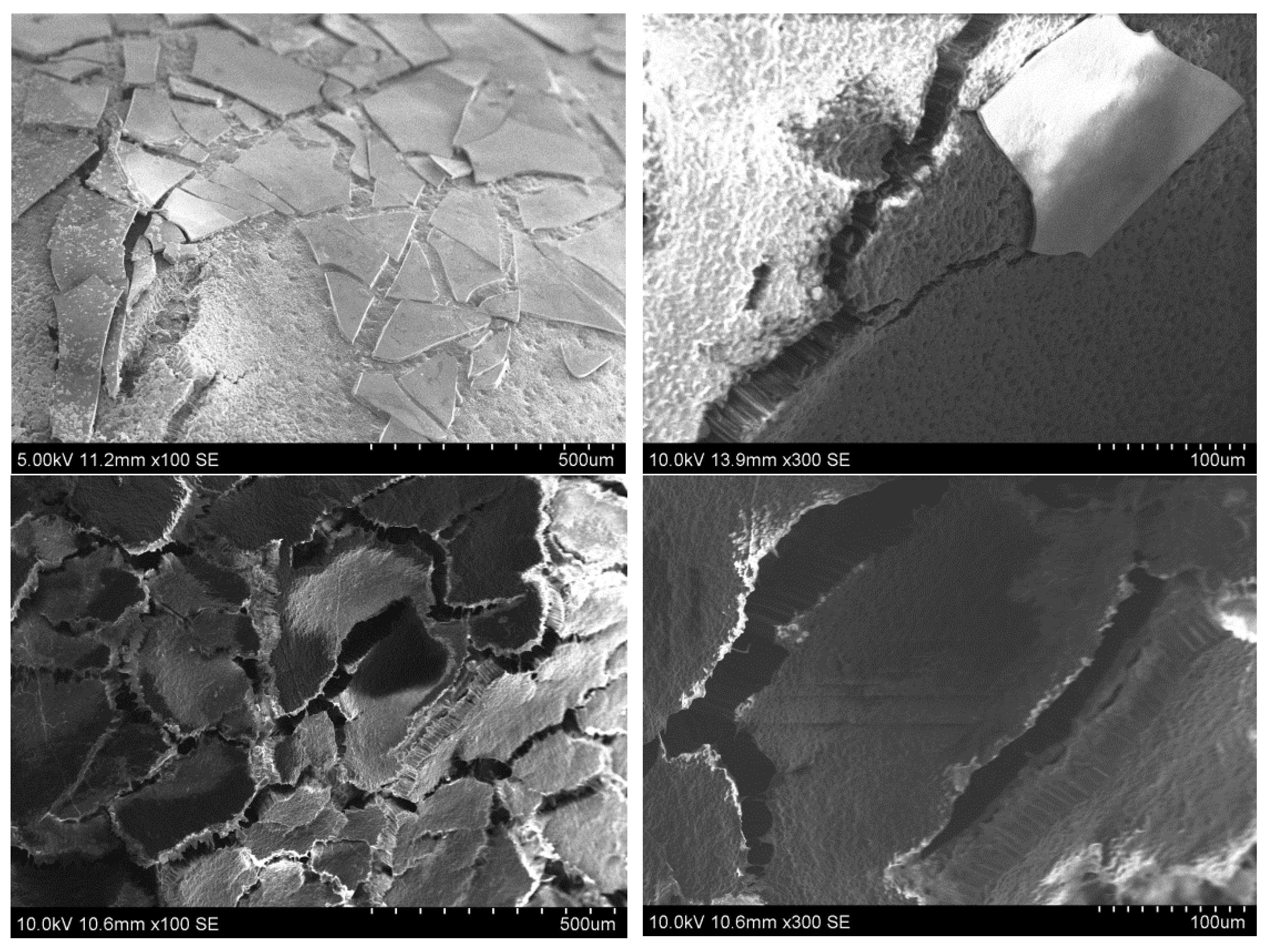 Polymers 14 04119 g007a Polymers 14 04119 g007a