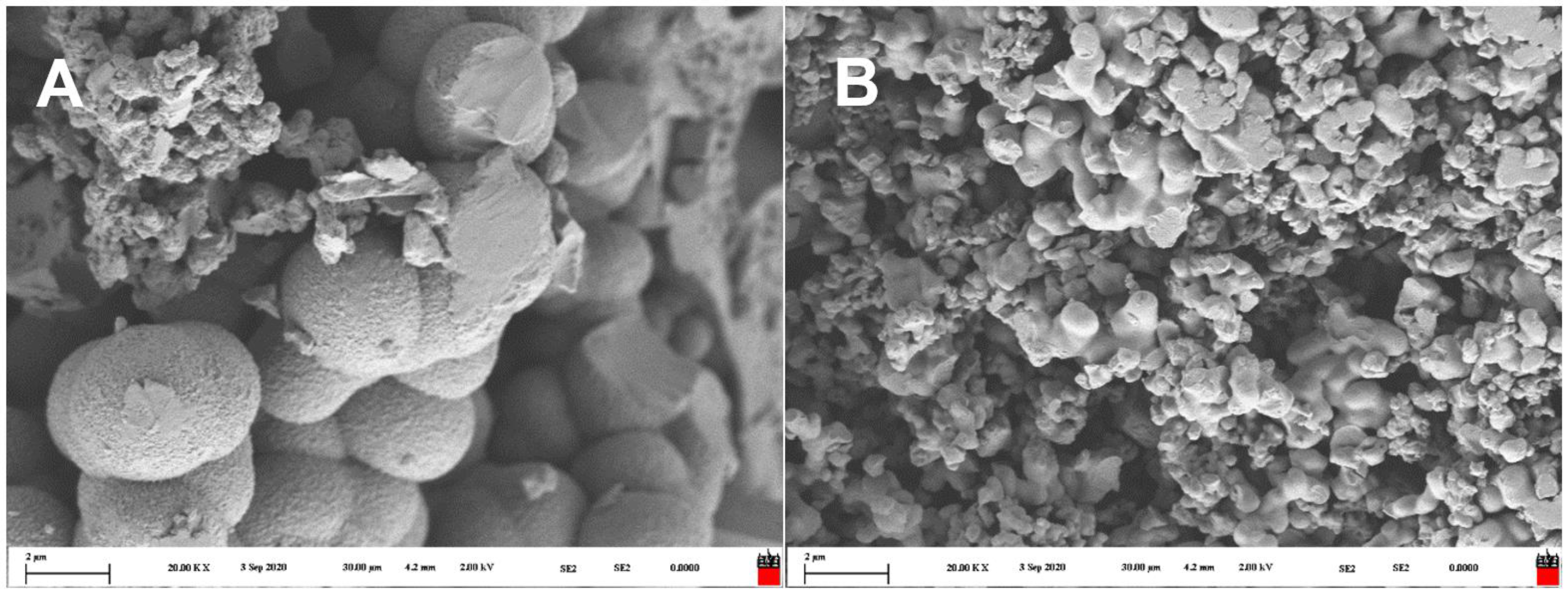 Polymers 14 04120 g004