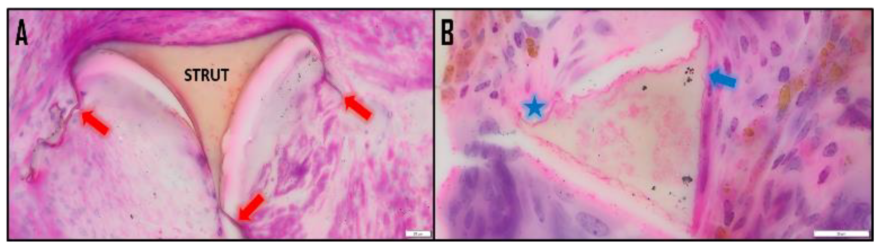 Polymers 14 04122 g001