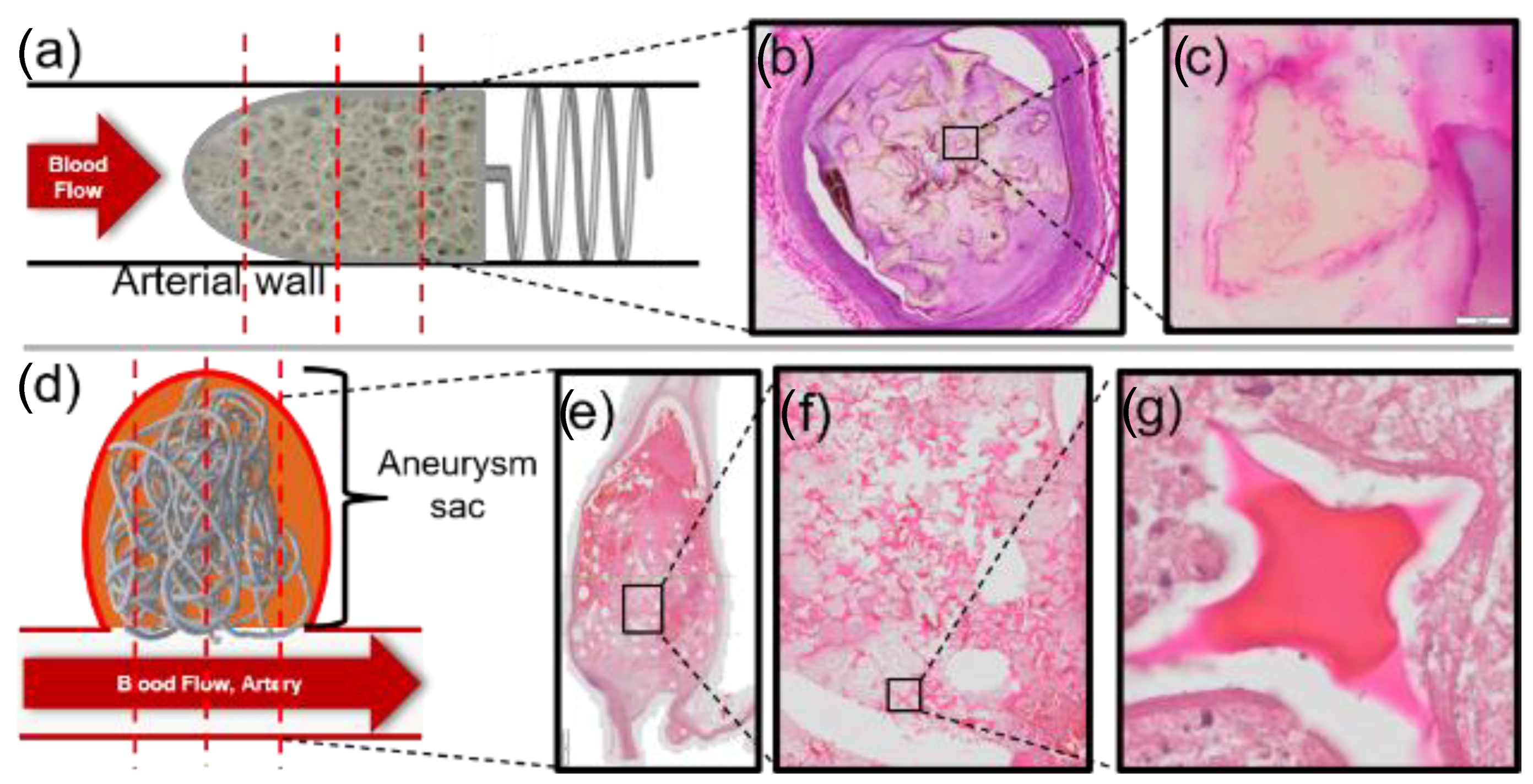 Polymers 14 04122 g002