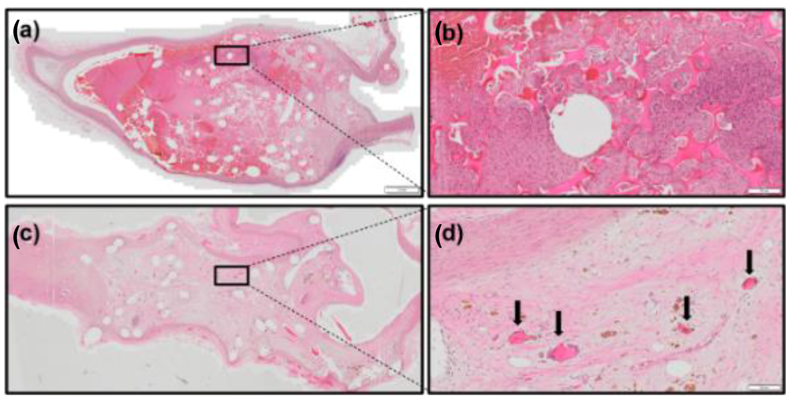 Polymers 14 04122 g007