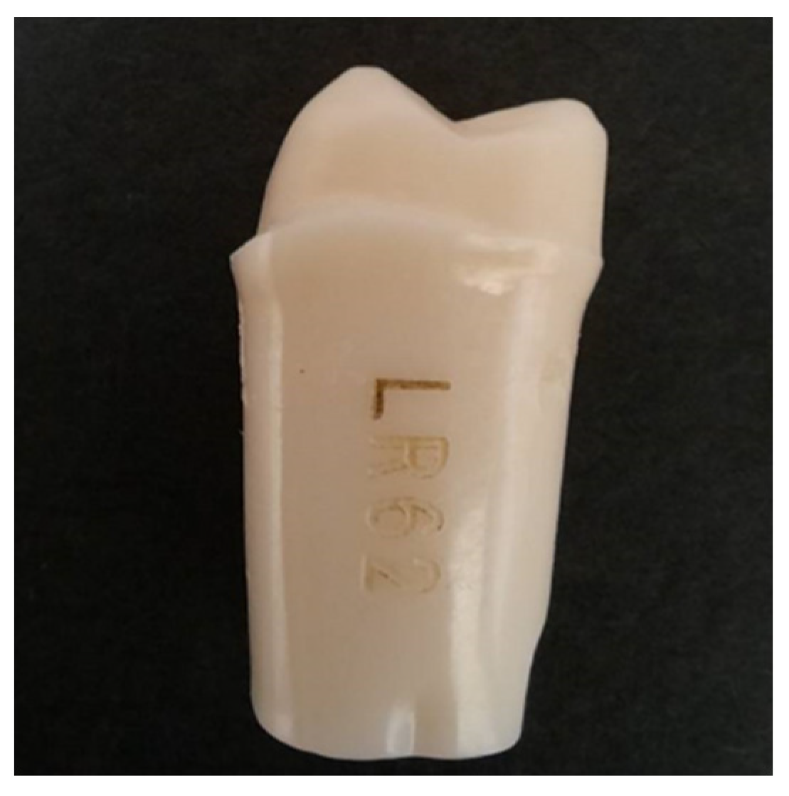 Polymers 14 04123 g001 Polymers 14 04123 g001