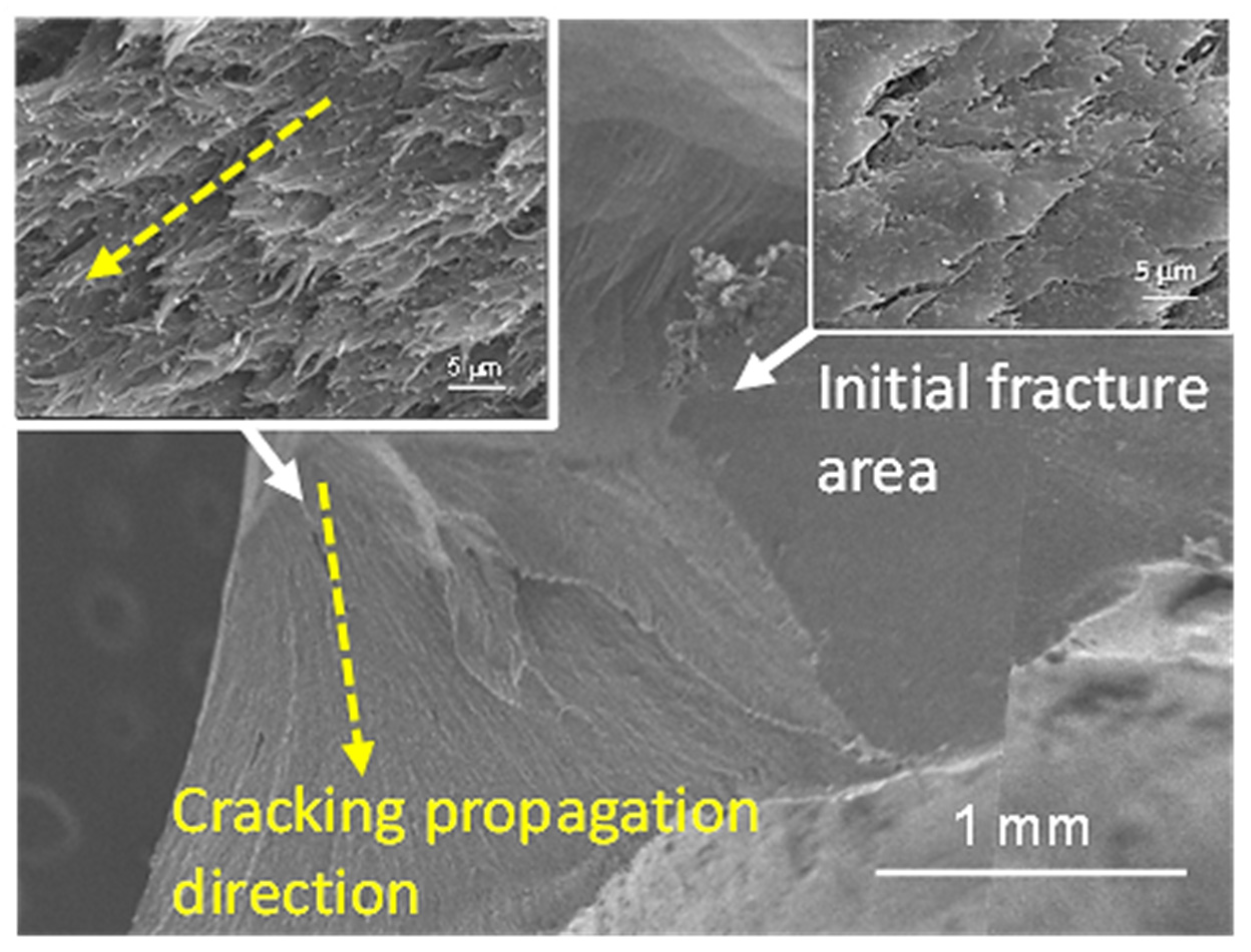 Polymers 14 04123 g008 Polymers 14 04123 g008