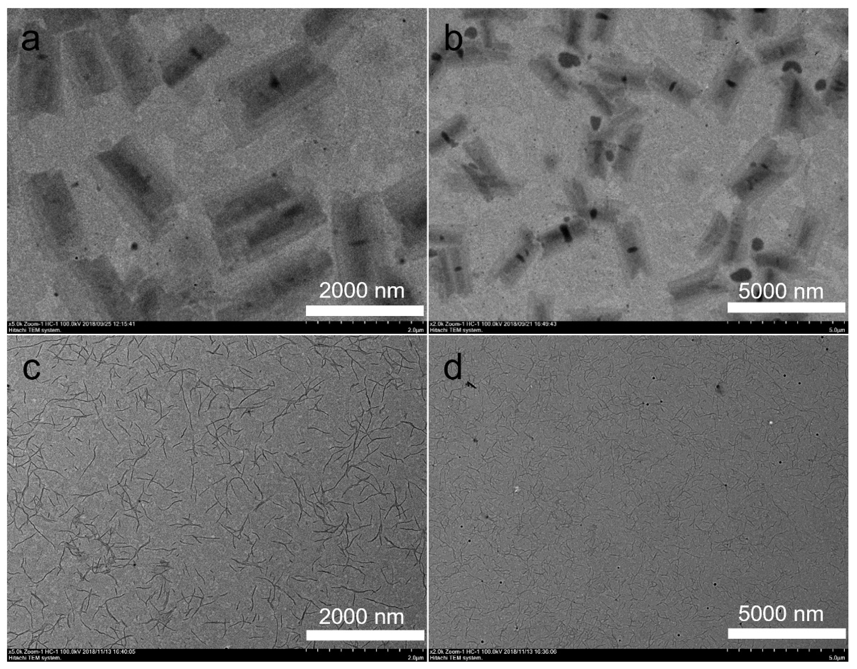 Polymers 14 04125 g001