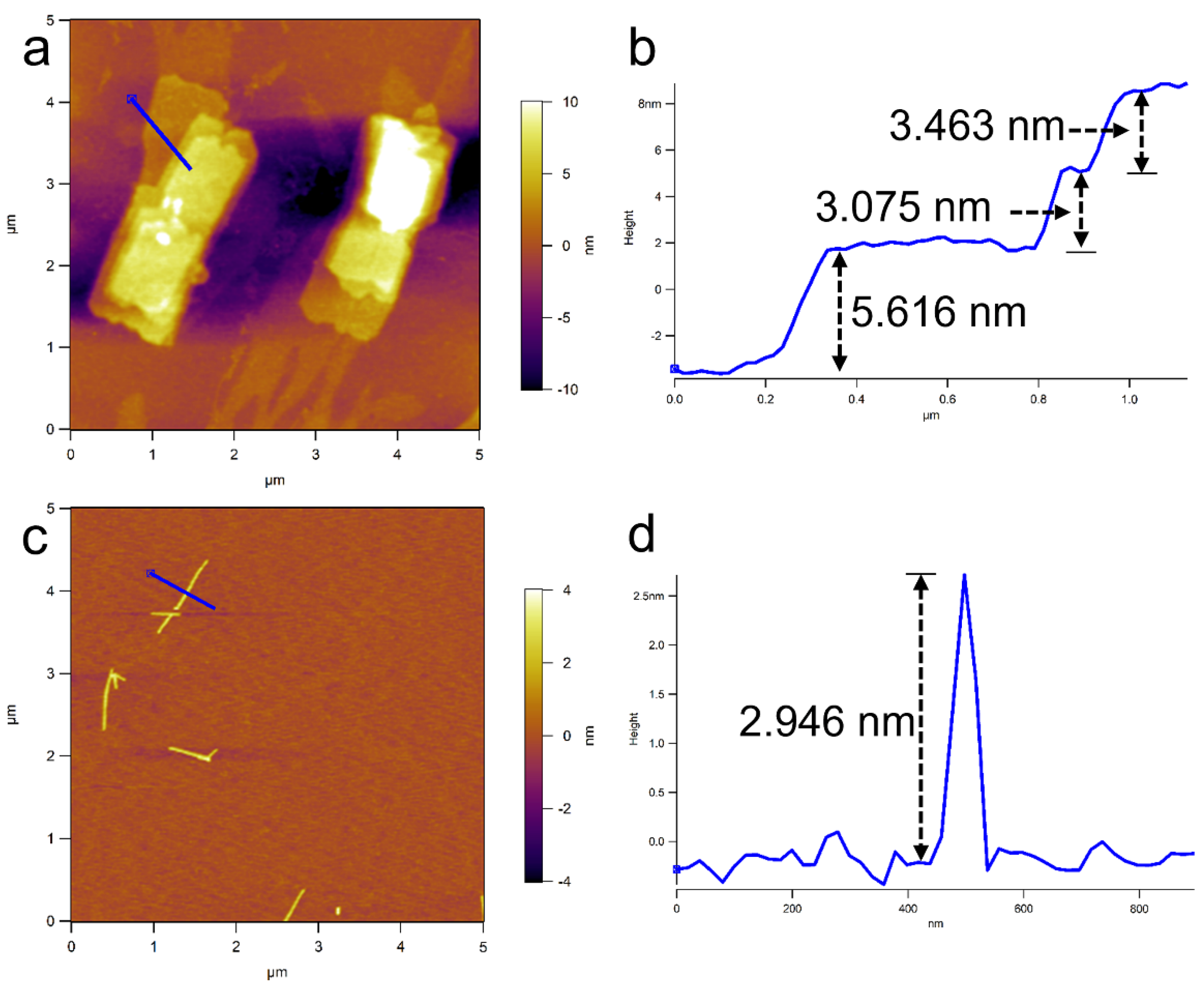 Polymers 14 04125 g003