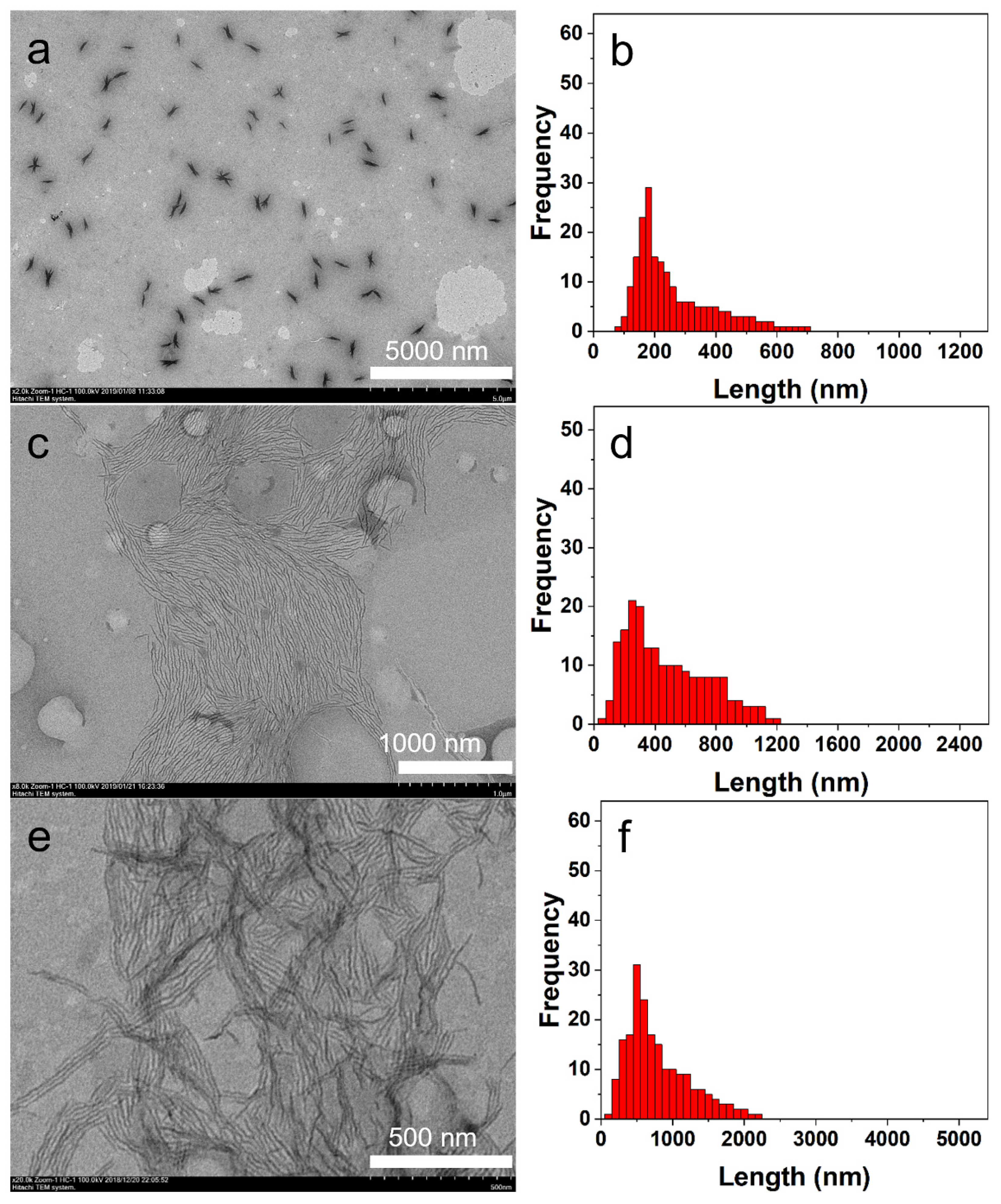 Polymers 14 04125 g006