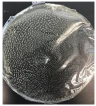 Polymers 14 04126 i006 Polymers 14 04126 i006