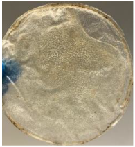 Polymers 14 04126 i008 Polymers 14 04126 i008