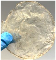 Polymers 14 04126 i010 Polymers 14 04126 i010