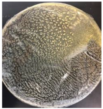 Polymers 14 04126 i011 Polymers 14 04126 i011