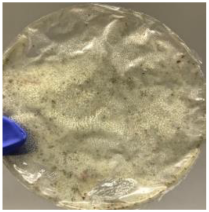 Polymers 14 04126 i012 Polymers 14 04126 i012