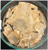 Polymers 14 04126 i015 Polymers 14 04126 i015