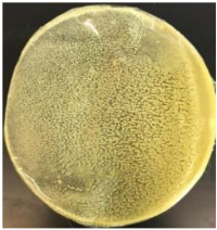 Polymers 14 04126 i016 Polymers 14 04126 i016