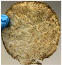 Polymers 14 04126 i018 Polymers 14 04126 i018