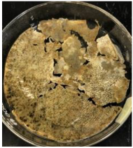 Polymers 14 04126 i019 Polymers 14 04126 i019