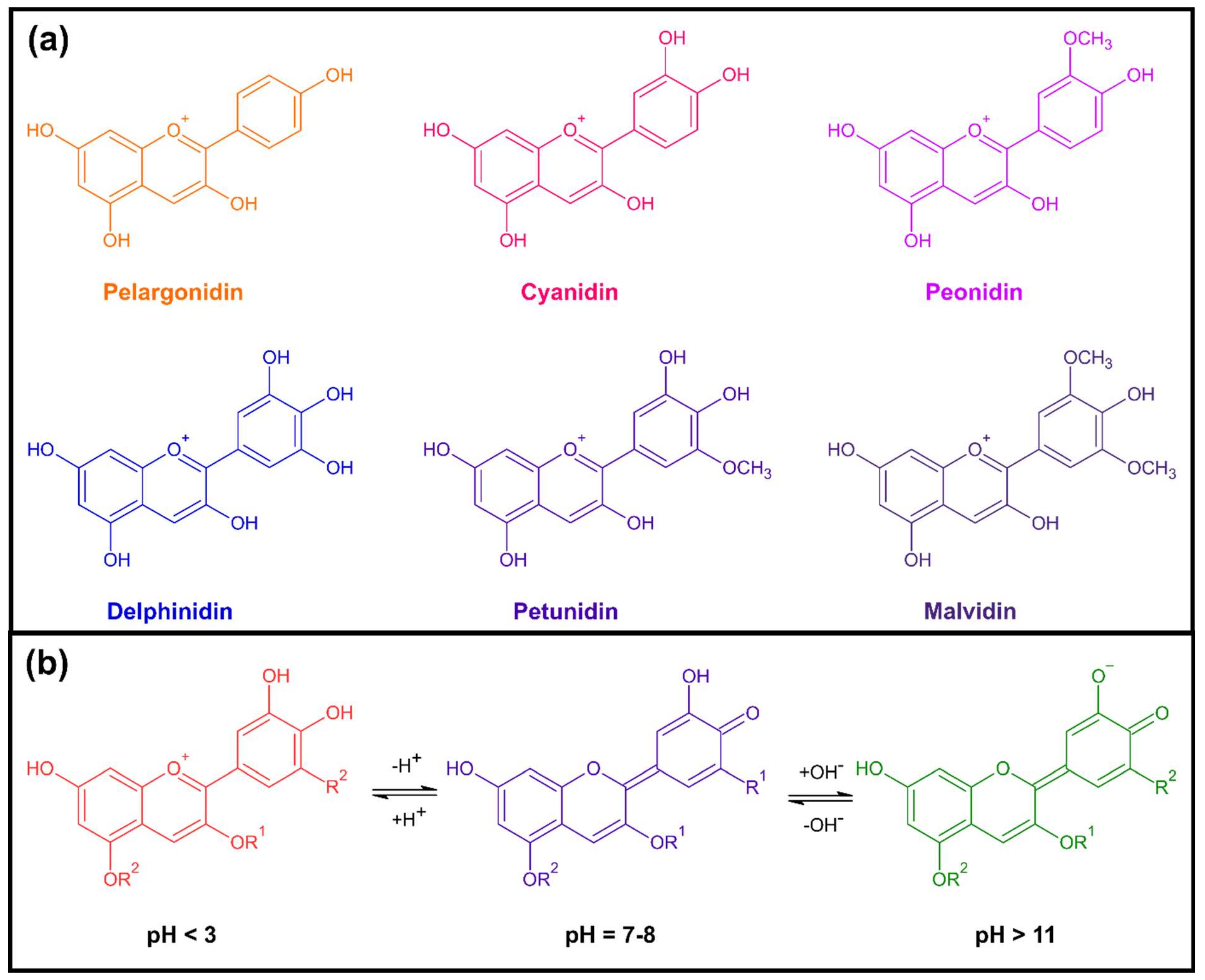 Polymers 14 04129 g001 Polymers 14 04129 g001