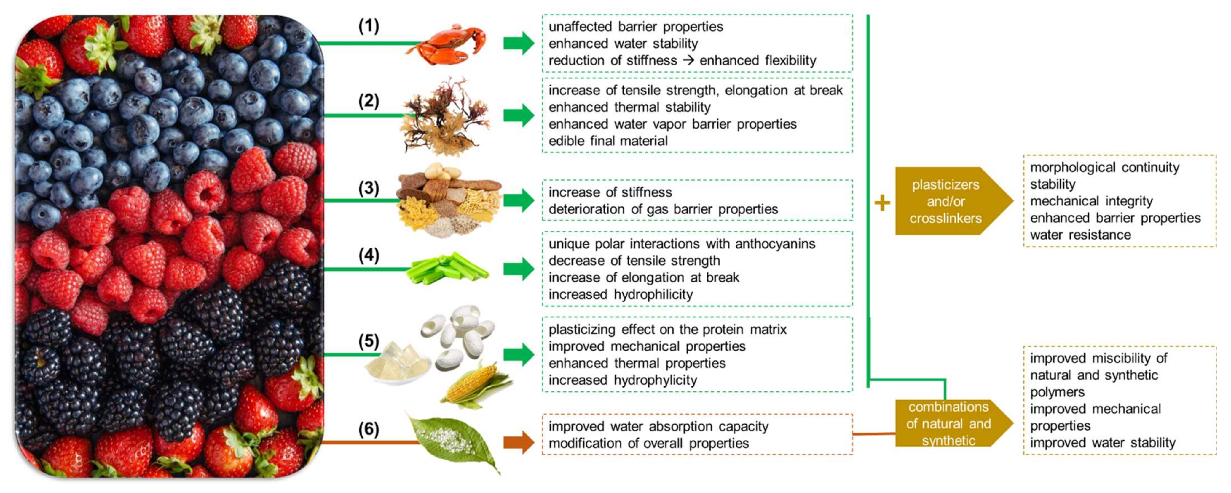 Polymers 14 04129 g003 Polymers 14 04129 g003