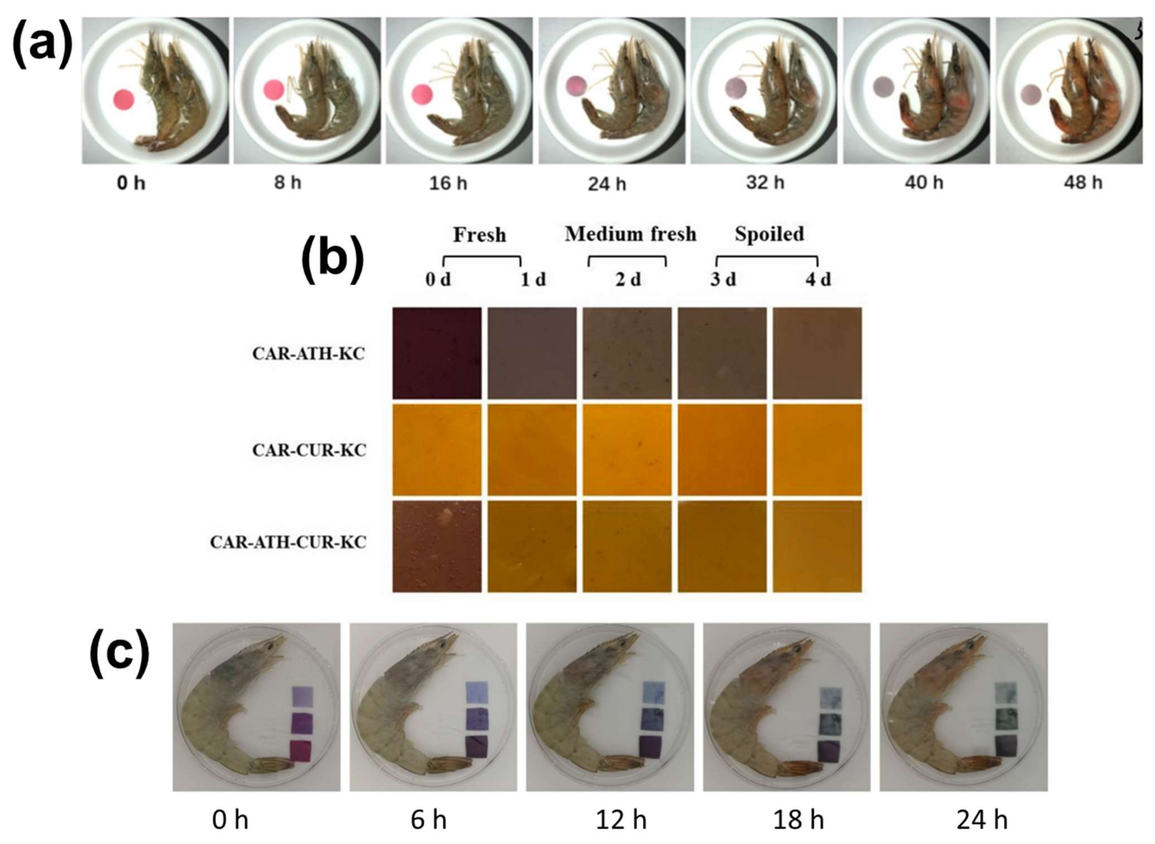 Polymers 14 04129 g005 Polymers 14 04129 g005