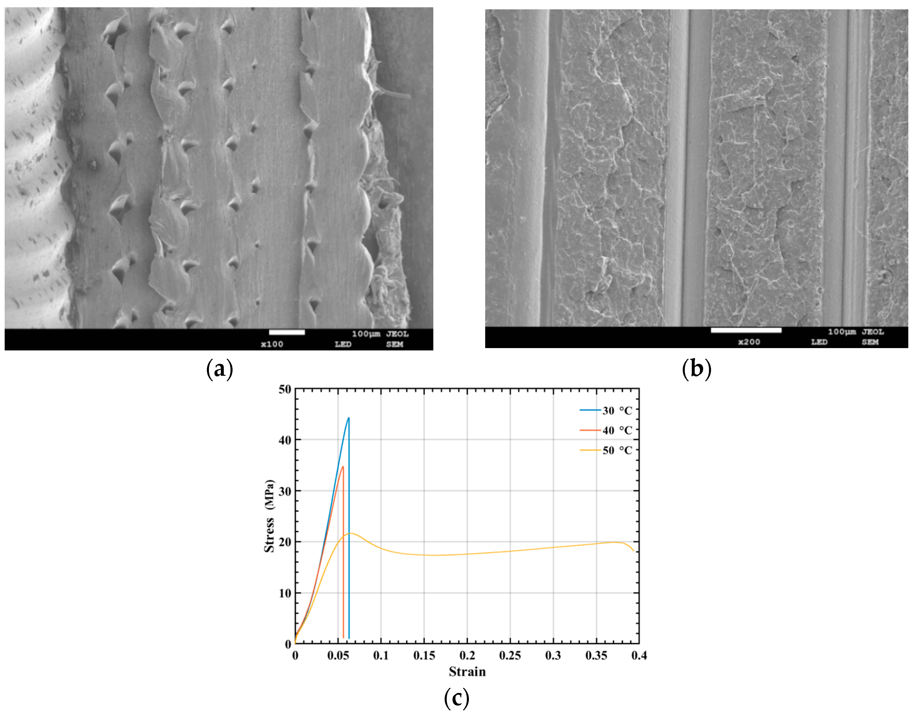Polymers 14 04135 g003 Polymers 14 04135 g003