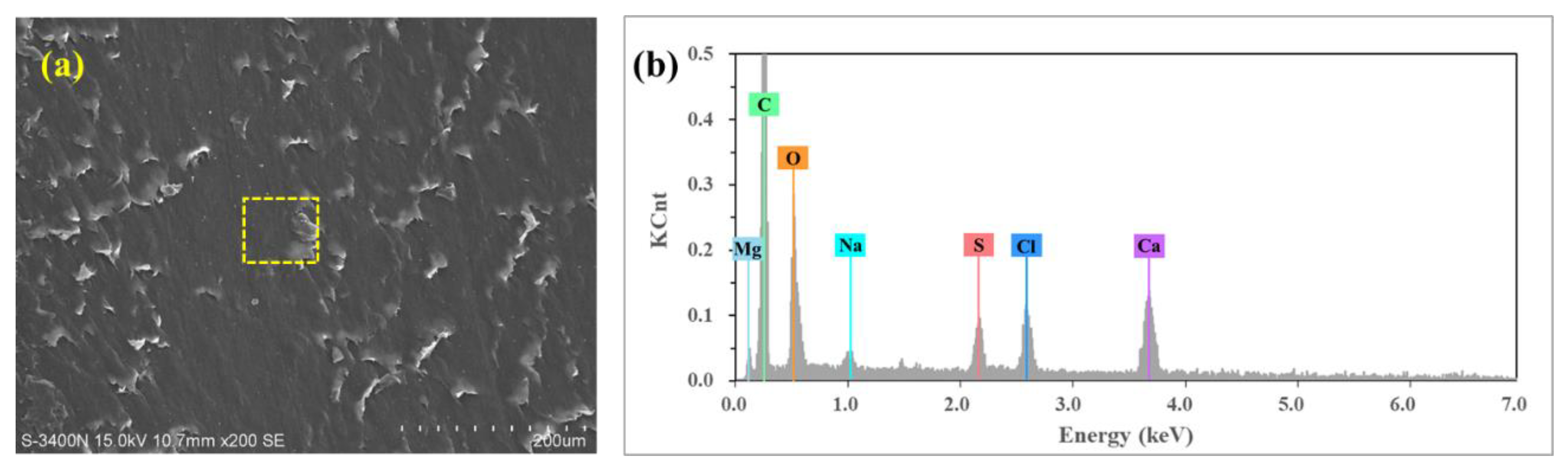 Polymers 14 04138 g010 Polymers 14 04138 g010