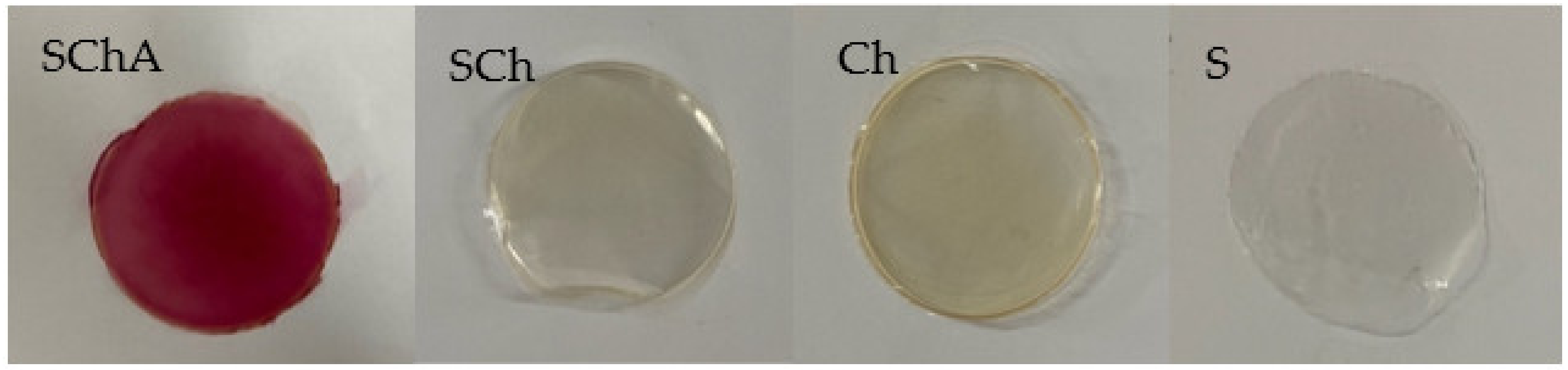 Polymers 14 04142 g002 Polymers 14 04142 g002